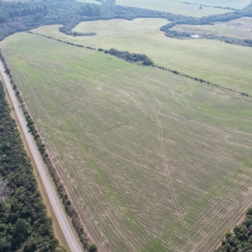 Excepcional fracción agrícola en Colonia