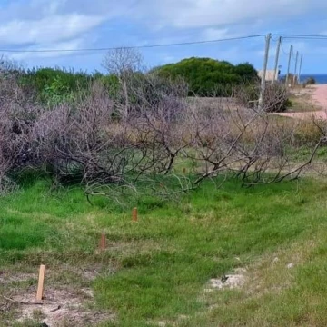 Terreno en Punta del Diablo a 2 cuadras de playa