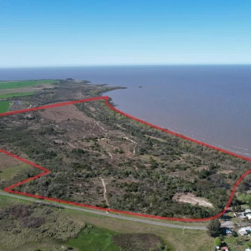 Campo en Artilleros 87 hás con costa al Rio de la Plata