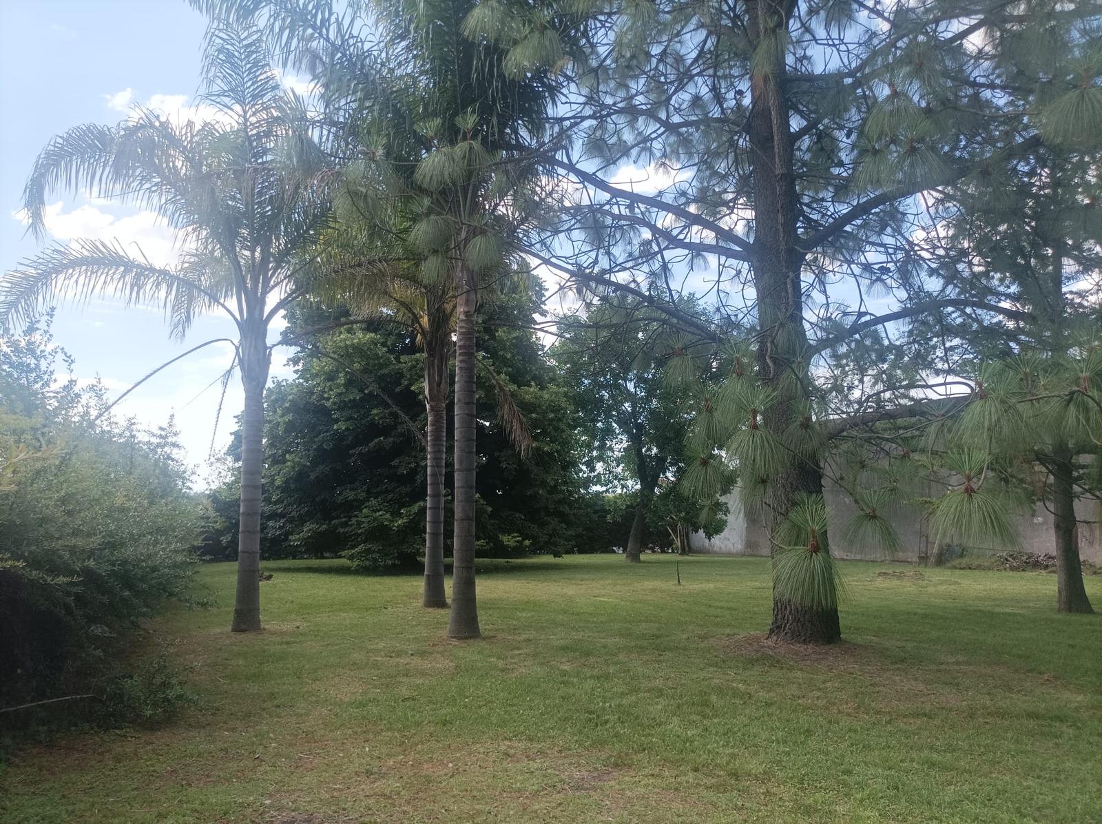 image 18