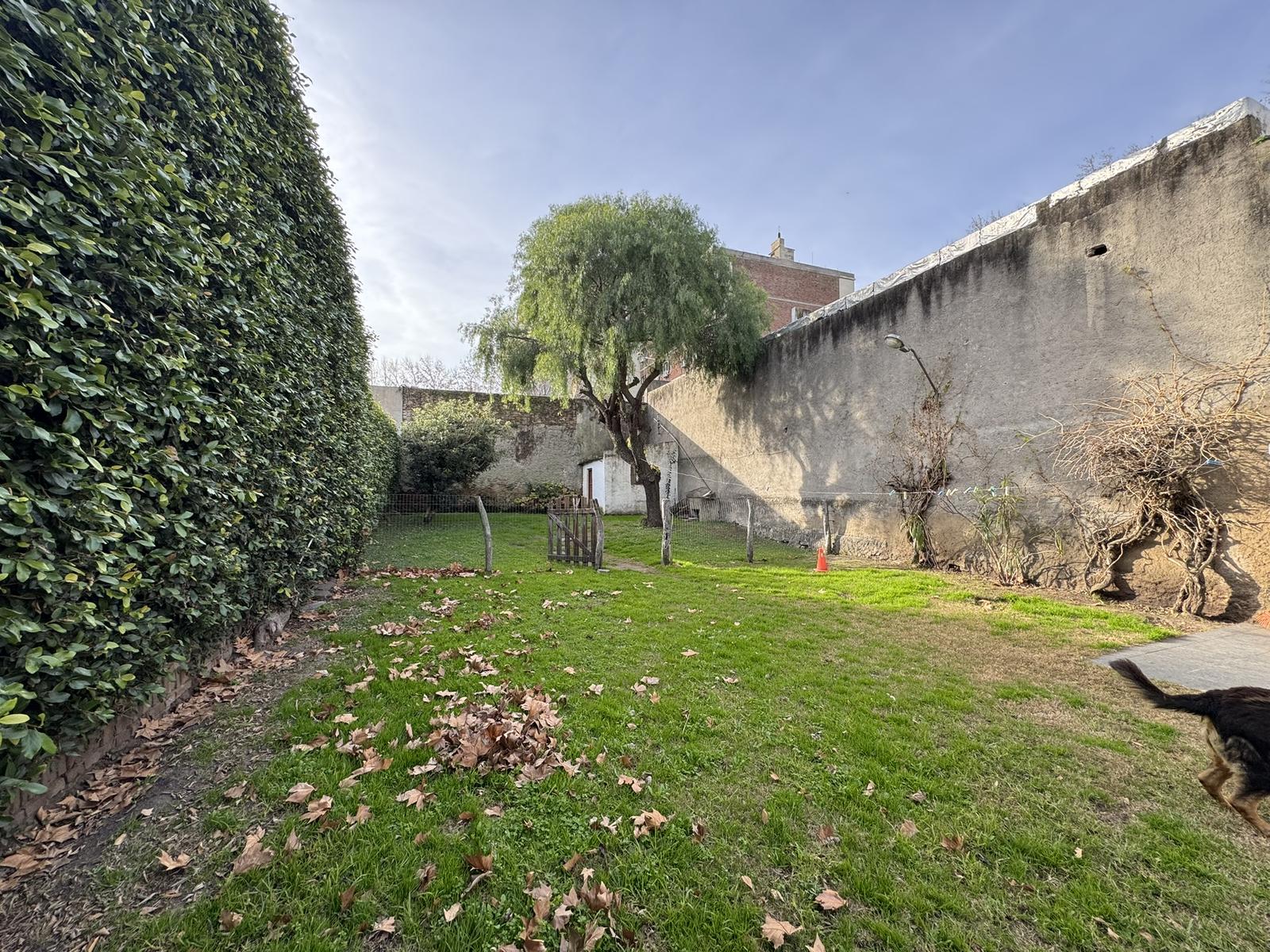 image 15