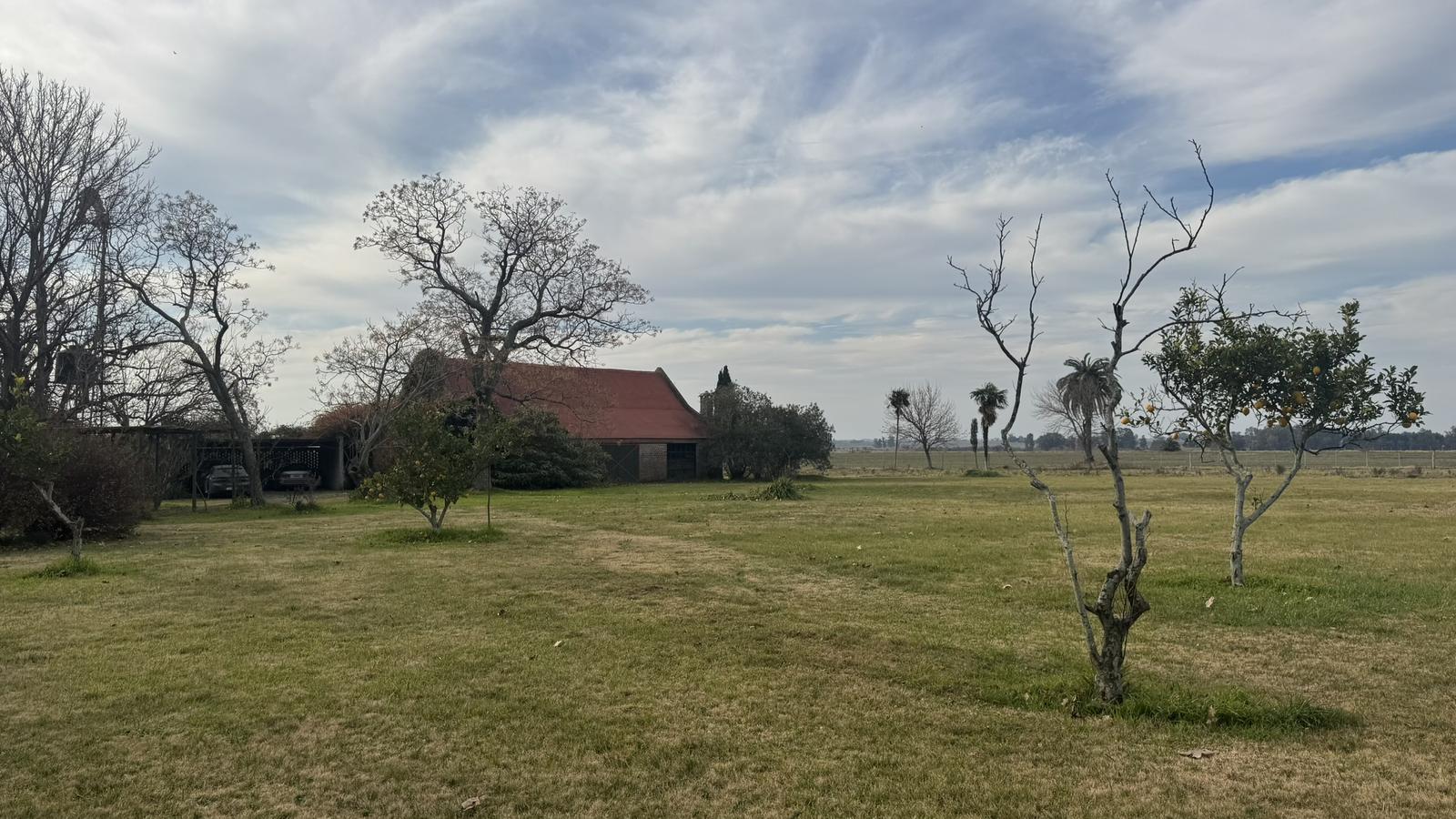 image 31