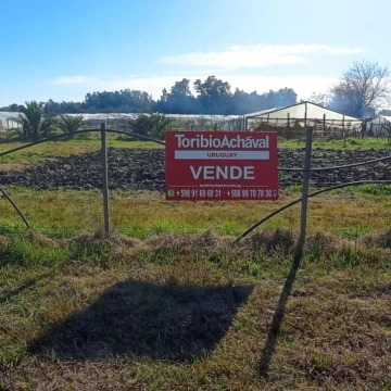 Terreno en Colonia Valdense Lote 5 (c/pozo semisurgente y Ute)