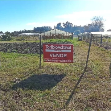 Terreno en Colonia Valdense