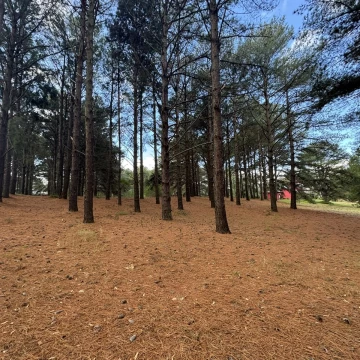 Terreno en esquina en El Faro - Lote 271