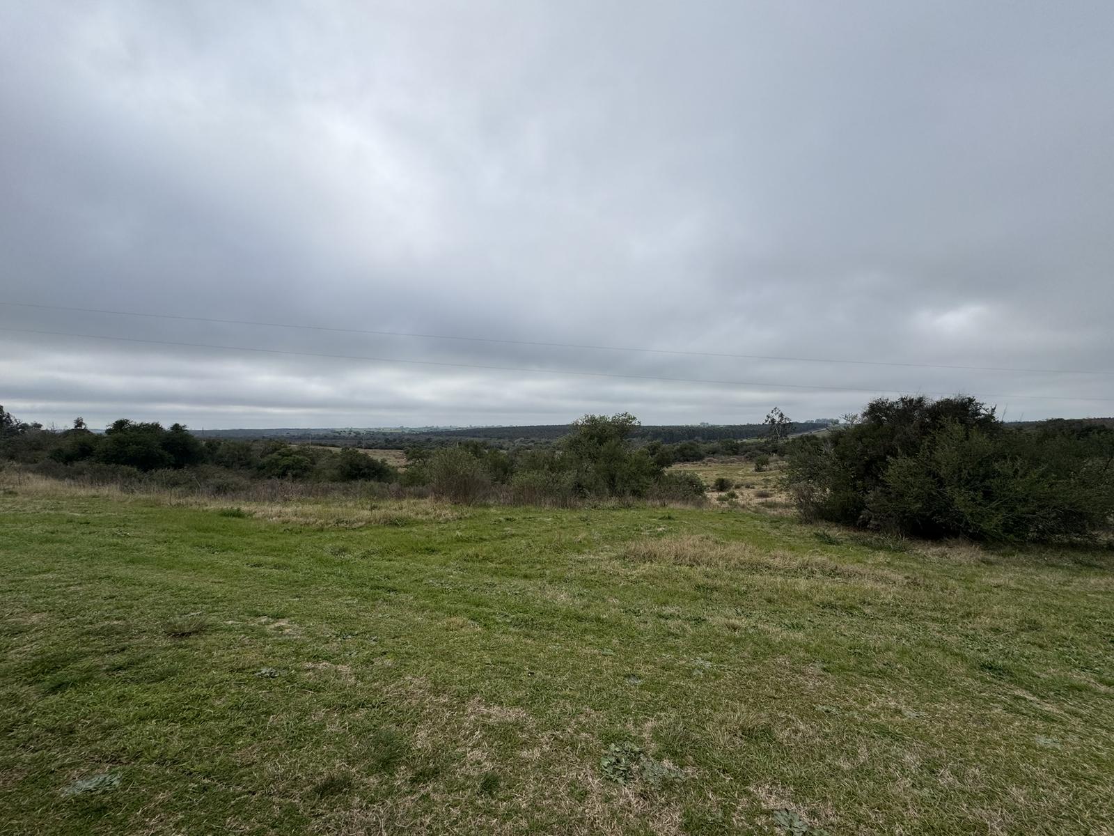 image 25