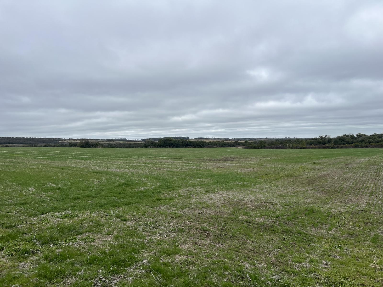 image 30