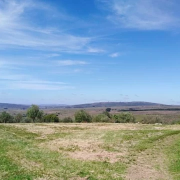 Chacra Serrana de Olivares 7,5 hás