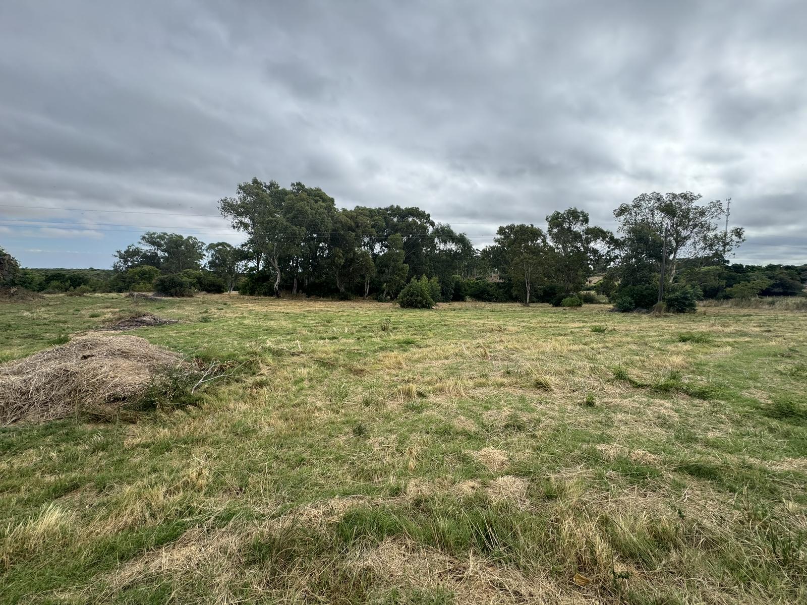 image 25
