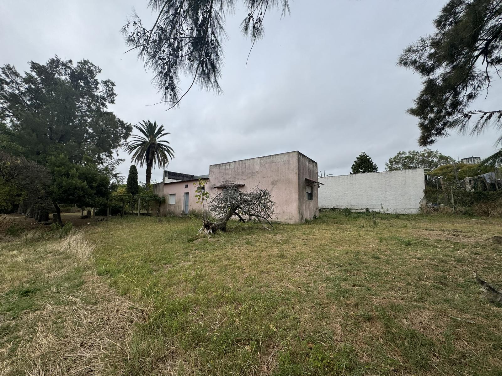 image 28