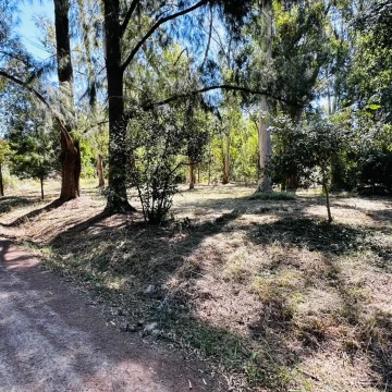 Terreno en Los Bosquecitos