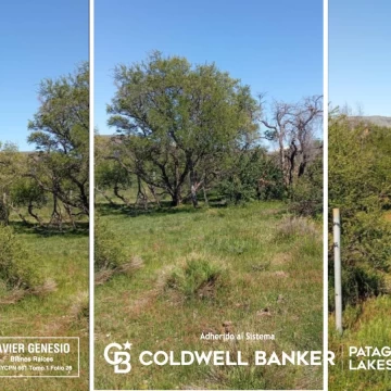 VENTA Lote/Terreno  1000 M2 Huechulafquen 