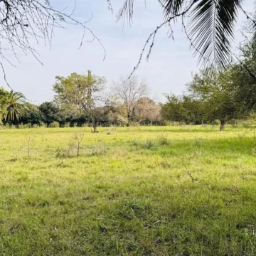 Venta de terreno de 3600 m2 sobre Ruta 14 vieja en Bella Vista, Concepción del Uruguay, Entre Ríos