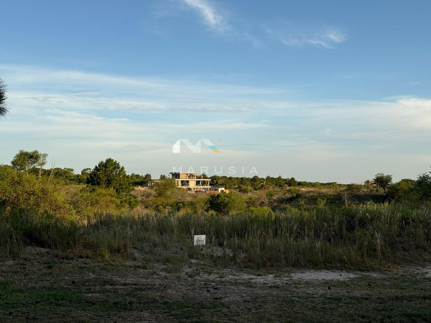 image 28