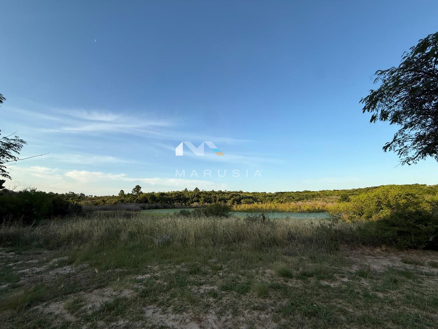 image 32