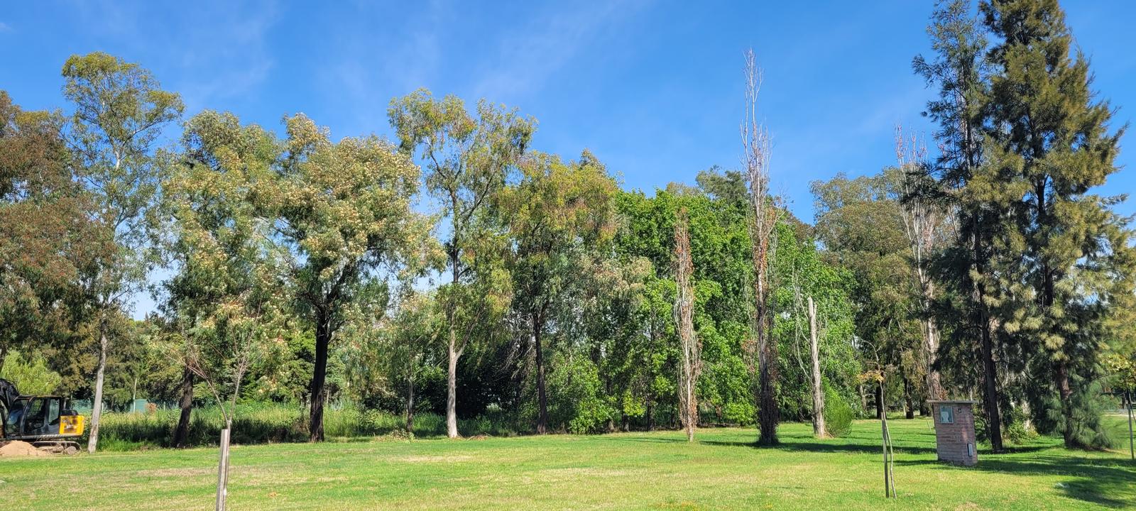 Terreno interno en Azzurra Tortugas, sector 3 - 5