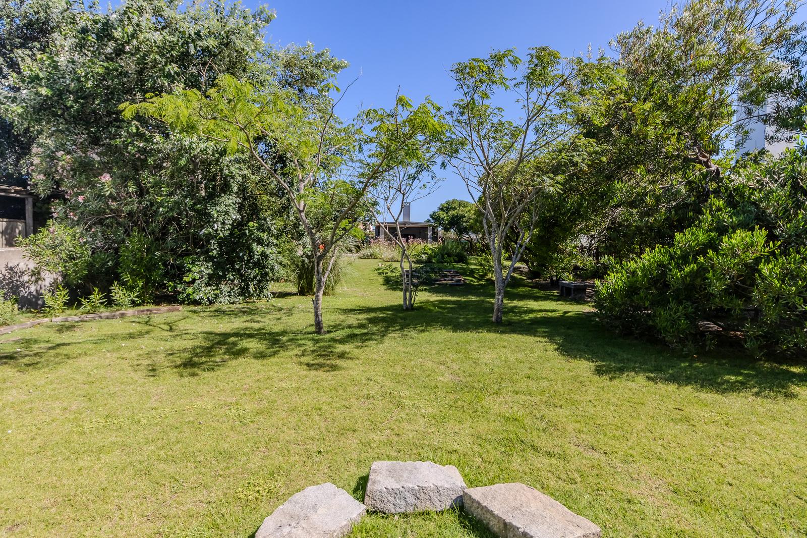 image 37