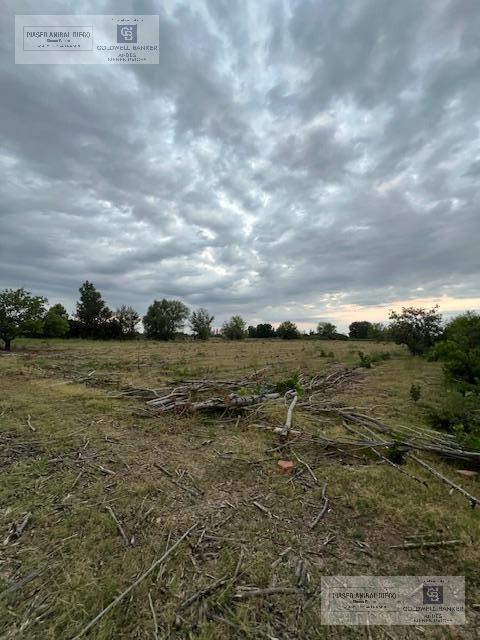 image 14