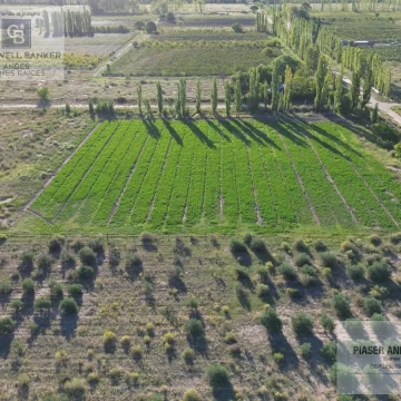 Finca en  Oportunidad!!! finca en venta