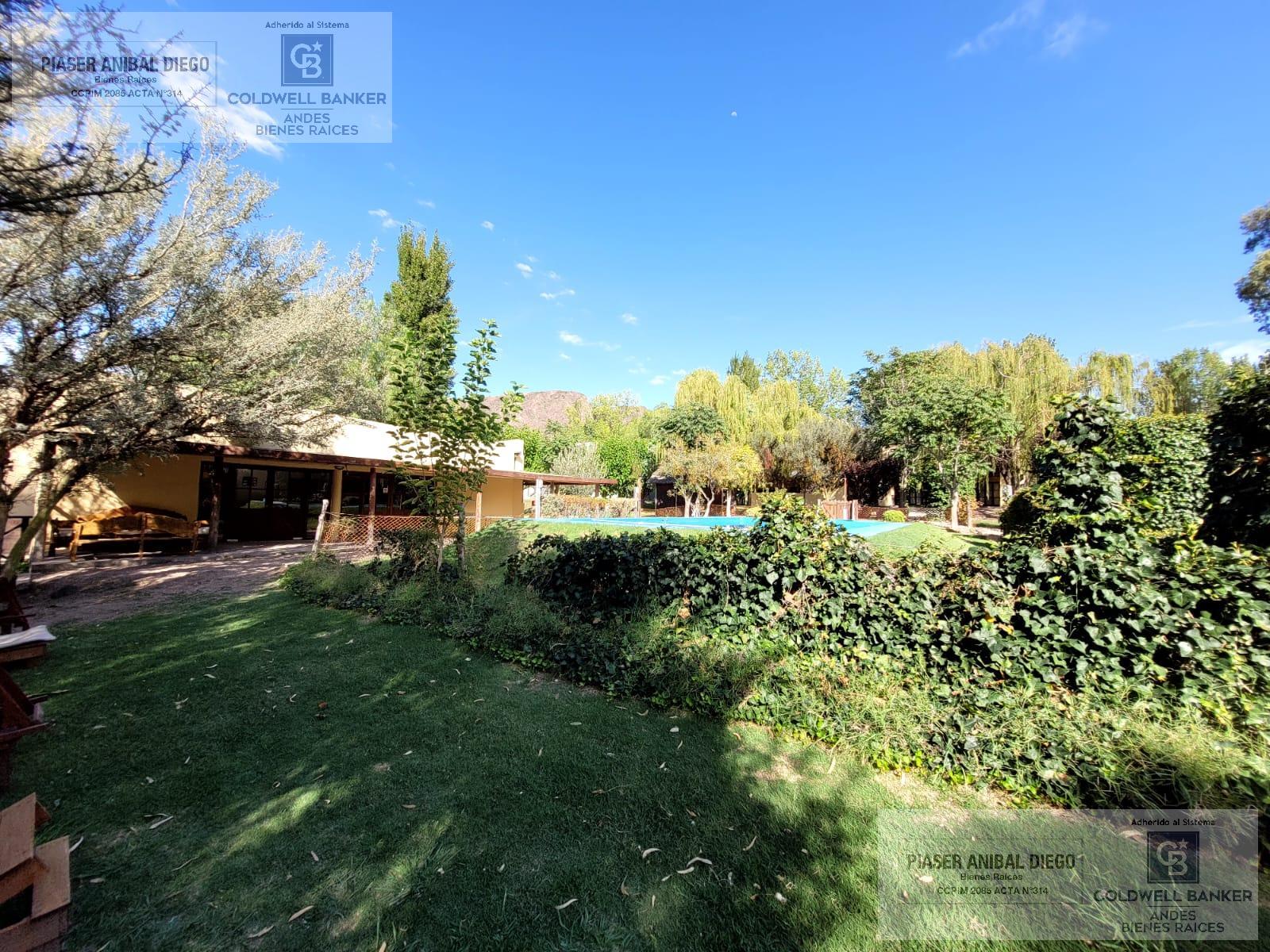 image 32