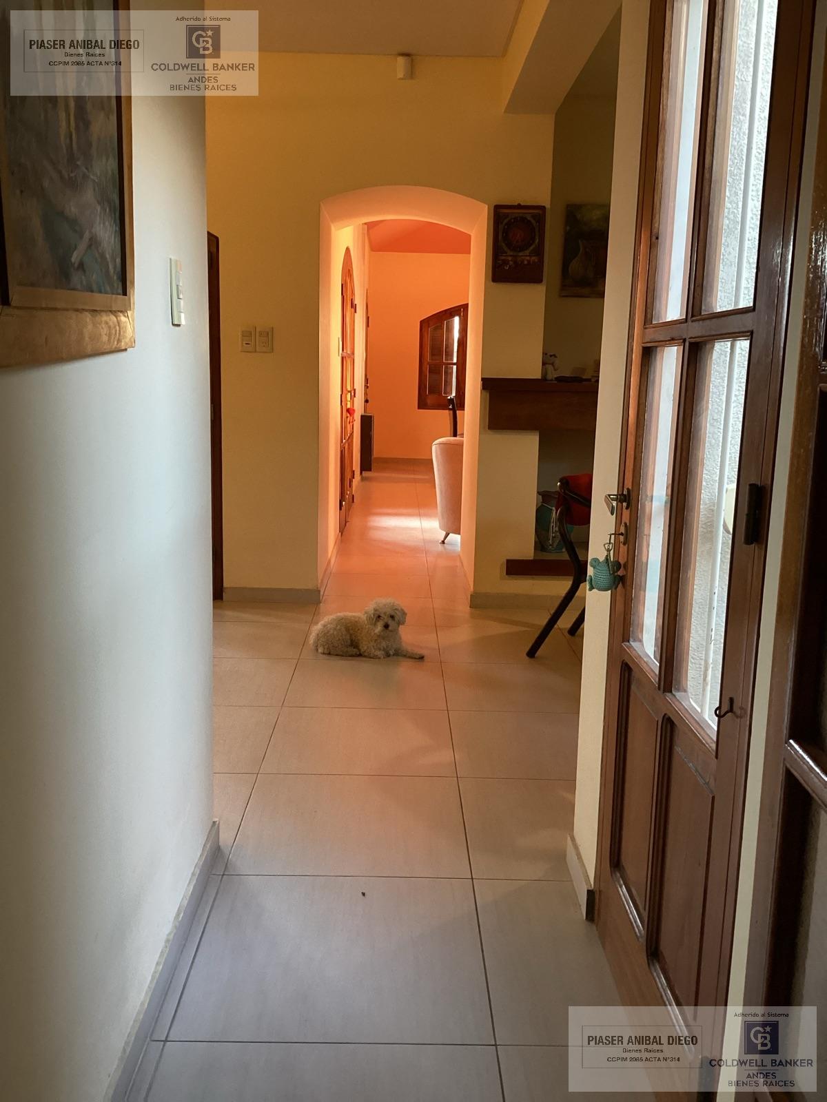 image 28