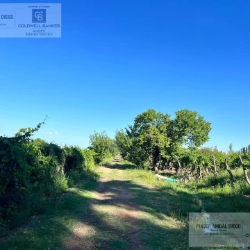 Terreno en Las Paredes