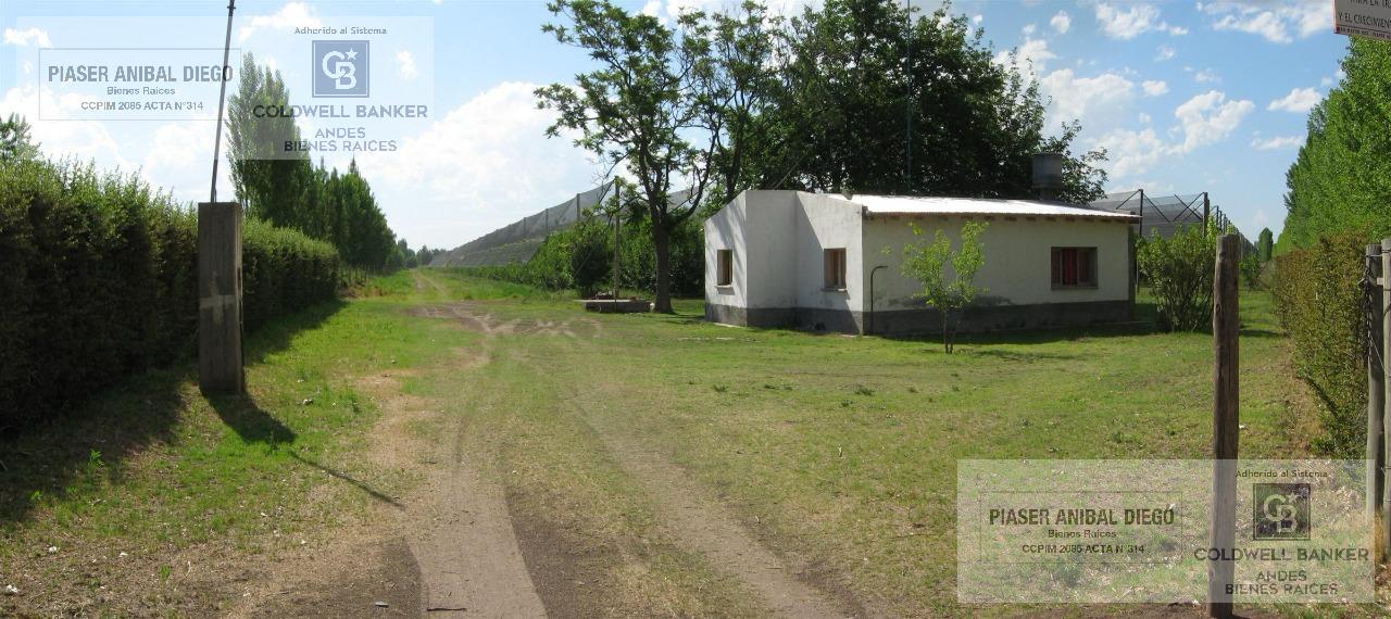 Finca en producción vitivinicola - Principal