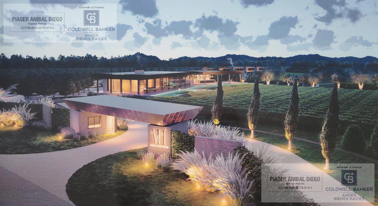 Wine Living Concept – Desarrollo Estratégico sobre 5,5 Hectáreas de Viñedo - Principal