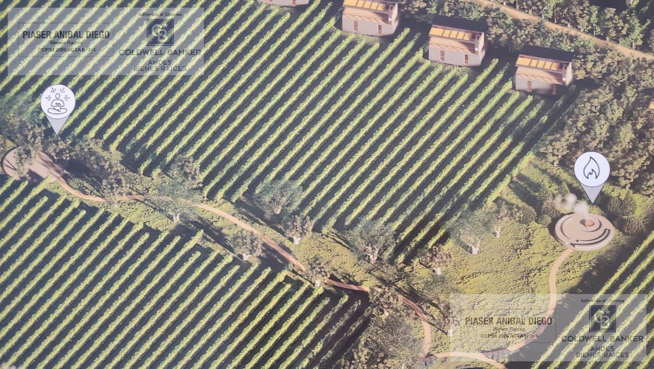 Wine Living Concept – Desarrollo Estratégico sobre 5,5 Hectáreas de Viñedo - 2
