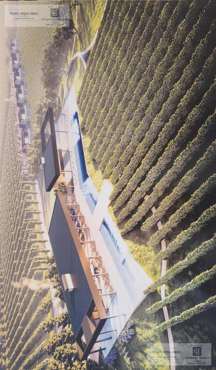 Wine Living Concept – Desarrollo Estratégico sobre 5,5 Hectáreas de Viñedo - 4