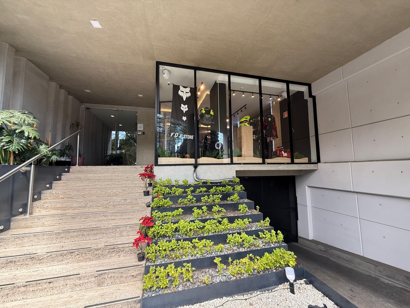 Local Comercial DEl Valle Norte 1.jpg