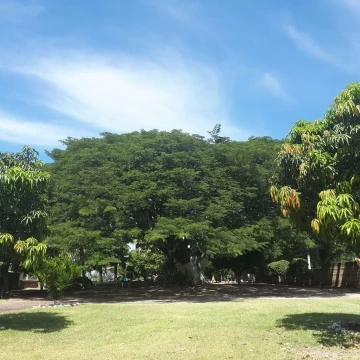 Terreno Residencial en venta en Xoxocotla Mor. con todos los servicios