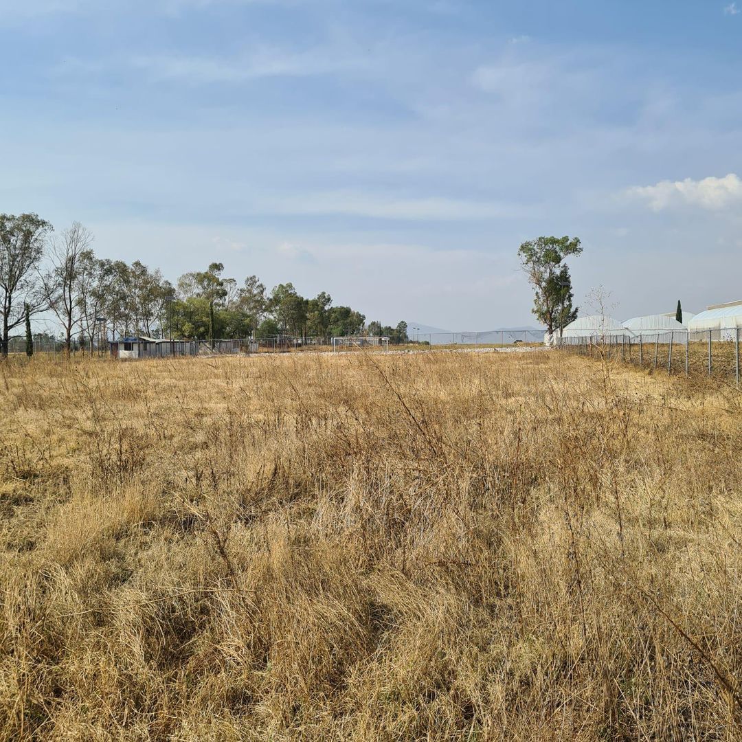image 14