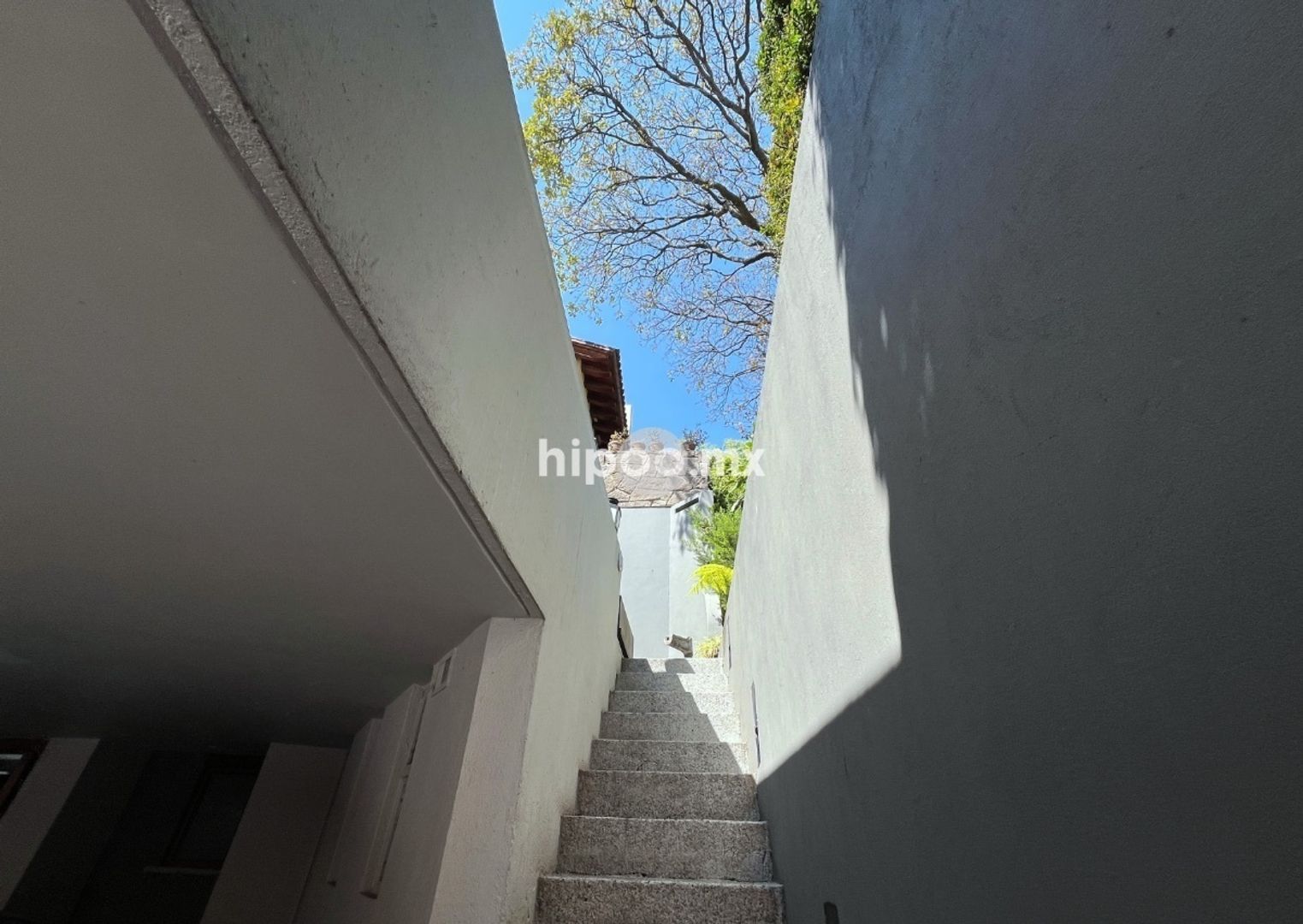 image 31