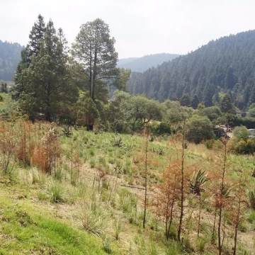Cañada de Alferez Terreno en para Desarrollo Habitacional.