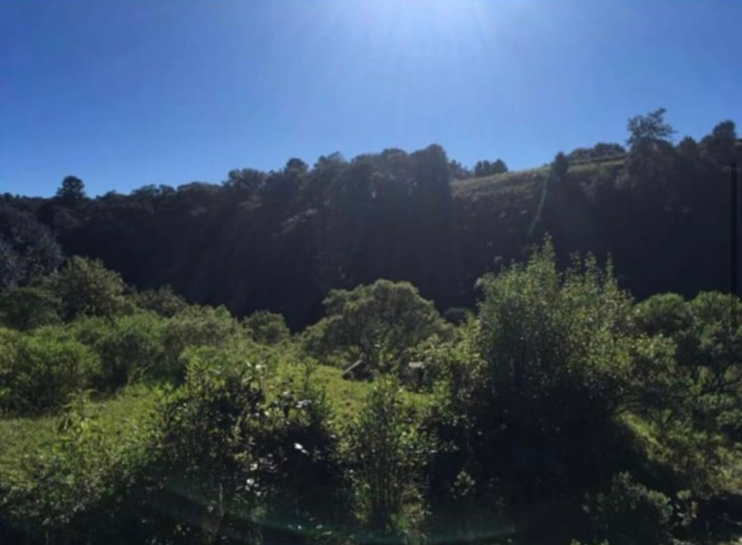 IMG_5638.jpeg