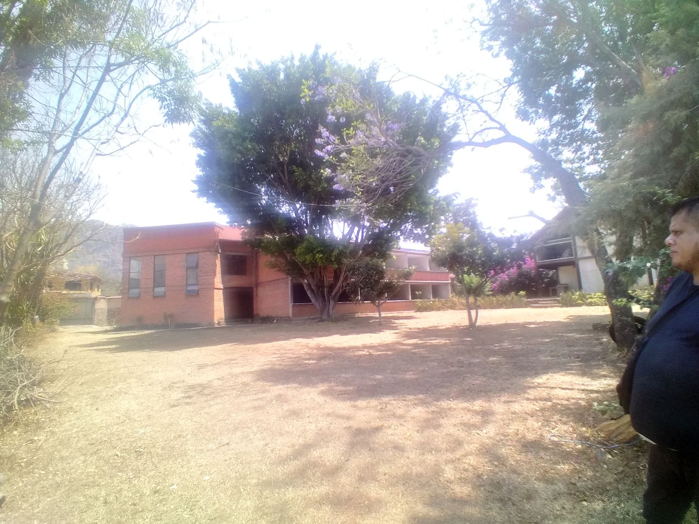 20240412_110710.jpg