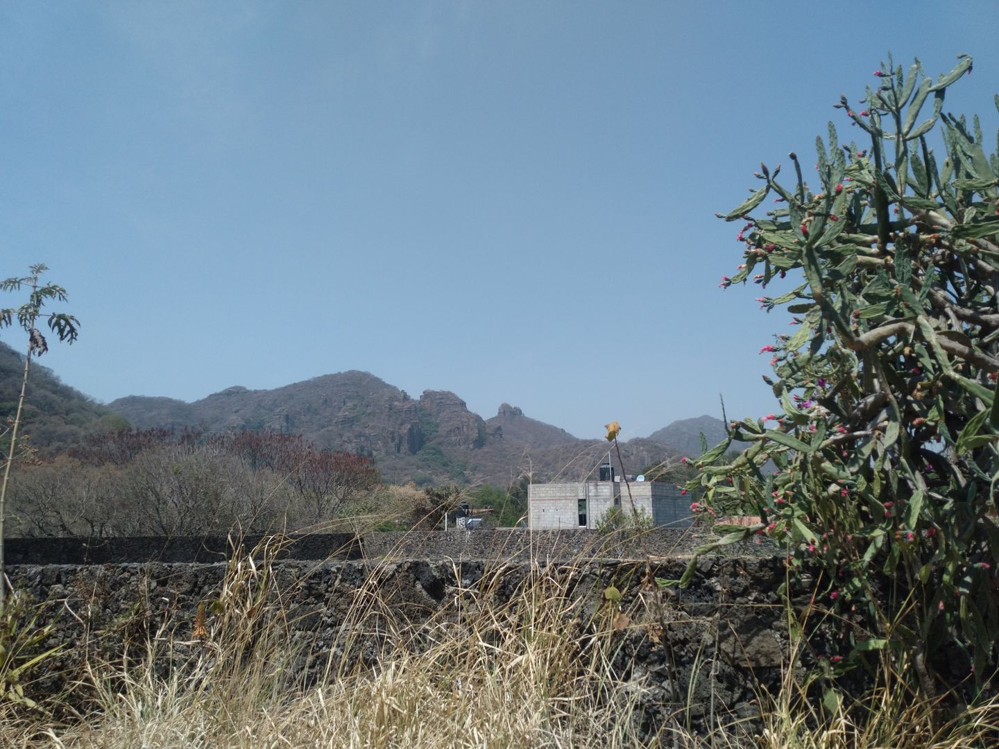 20240412_110613.jpg
