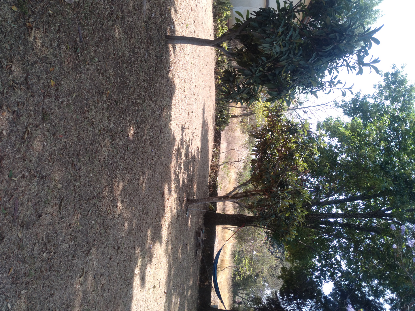 20240412_110329.jpg