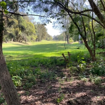 Terreno Residencial en venta en Gran Reserva Ixtapan de la Sal 