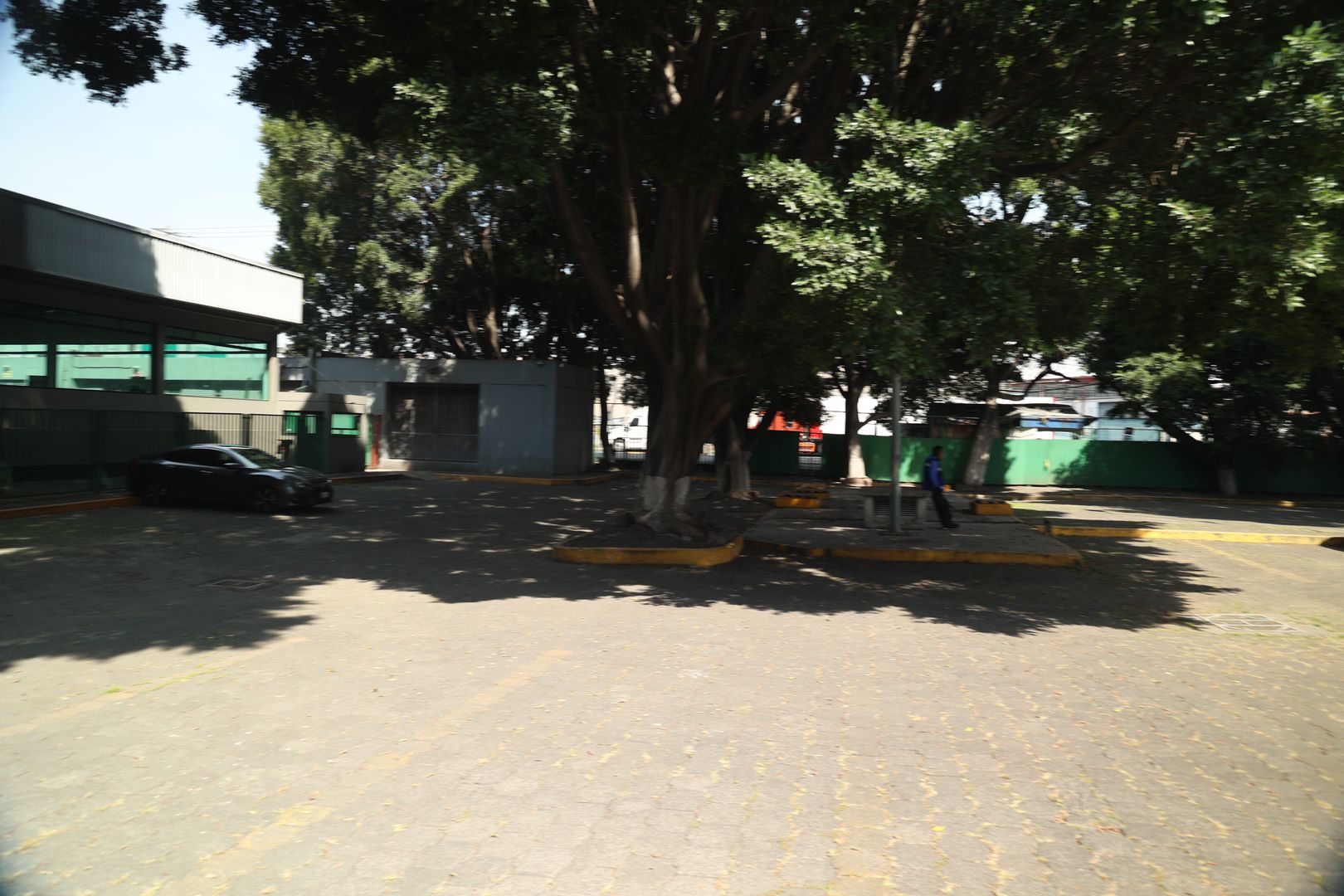 IMGC0358.jpg