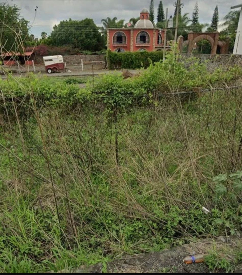 1000543067.jpg