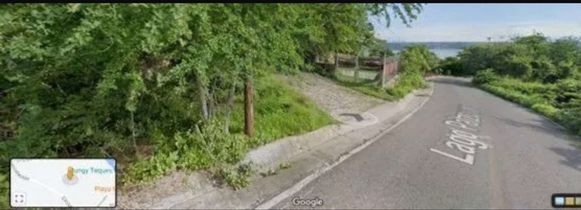 1000543372.jpg