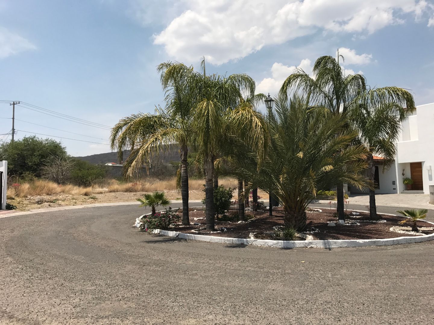 Vista de los dos terrenos 3.jpg