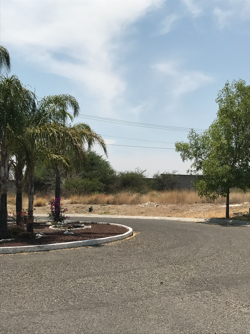 Vista de los dos terrenos 6.JPG