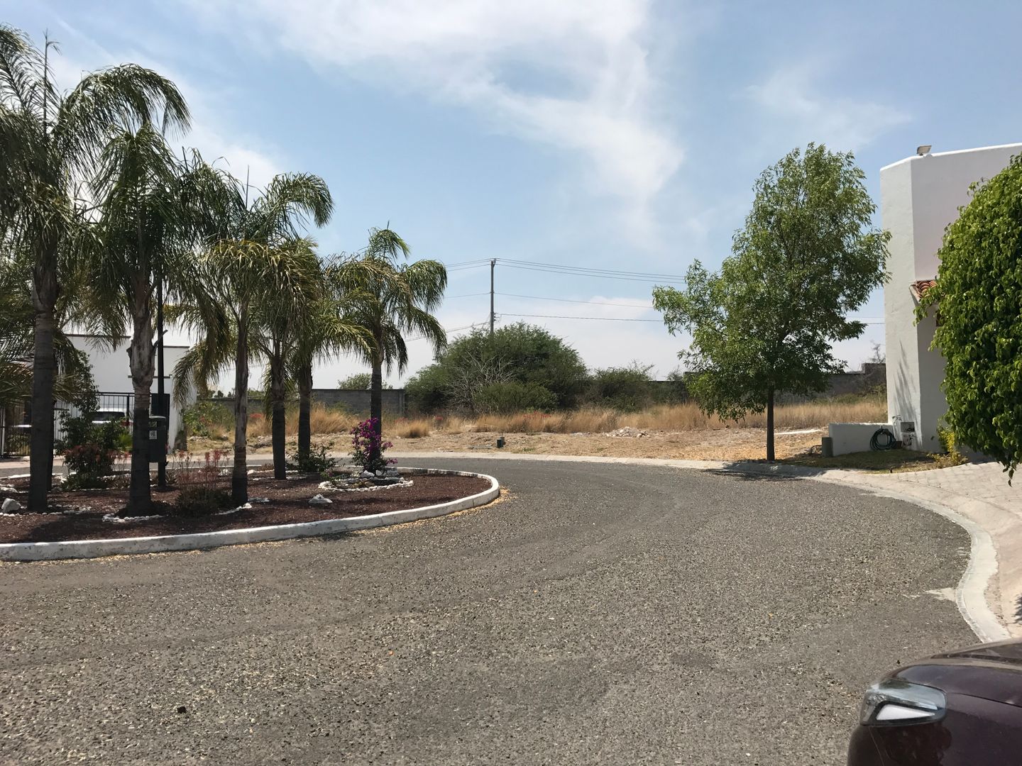 Vista de los dos terrenos 2.jpg