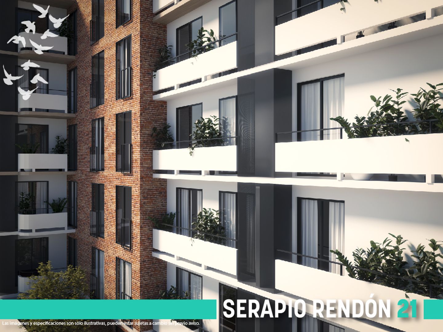 Renders_SR21 -3.jpg