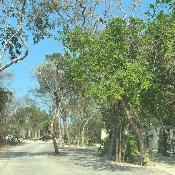 Terreno Residencial en Tulum 