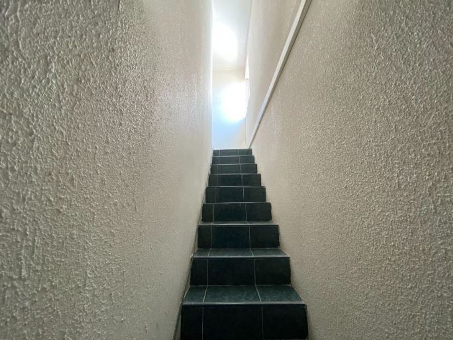 20.JPG