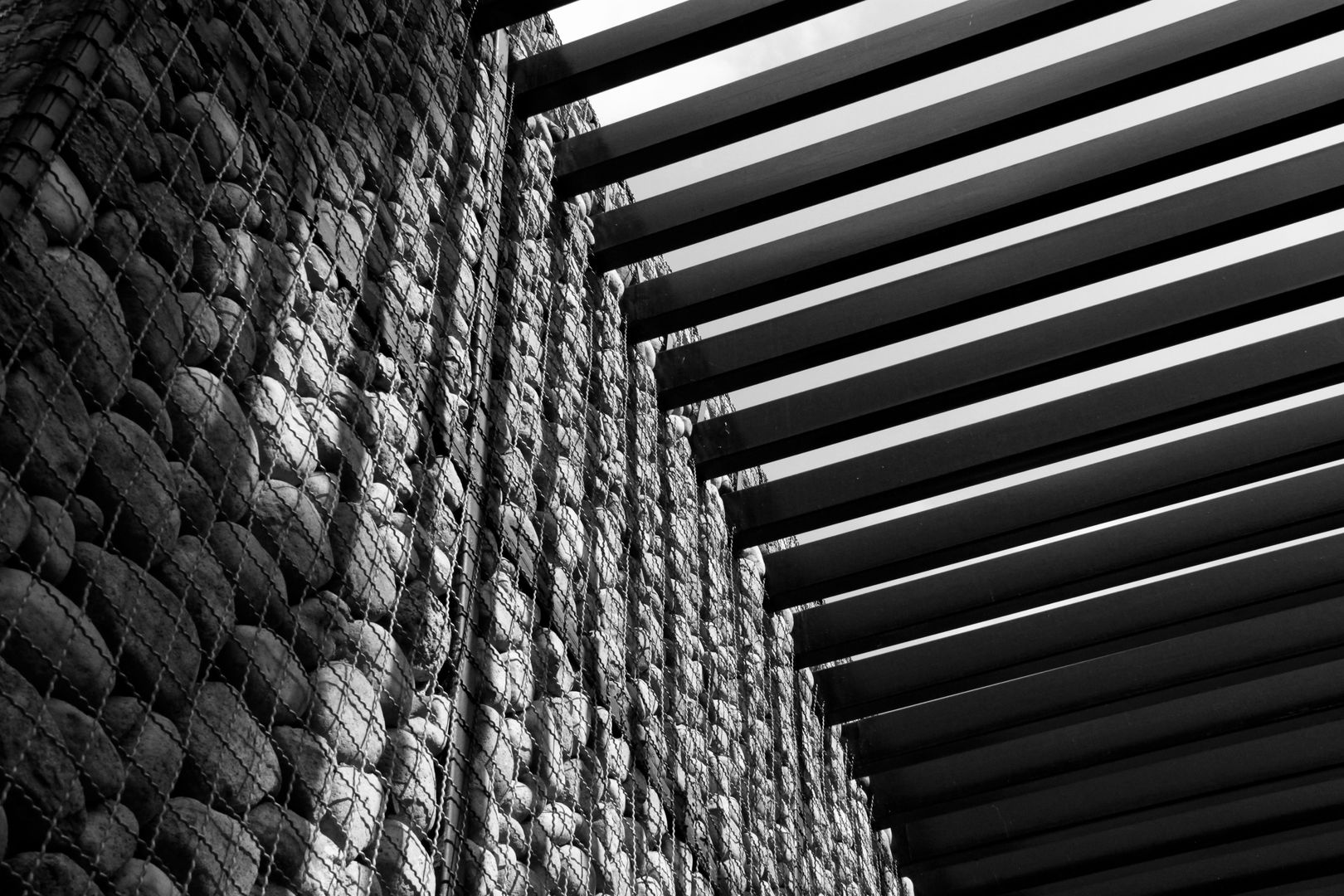 _MG_5573.JPG